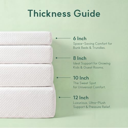 Queen Mattress, 10 Inch Queen  - Memory Foam Mattress In A Box Queen 评论和价格